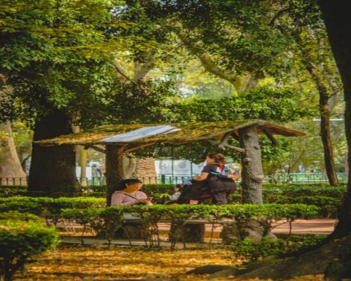 People enjoying a sunny day at a green urban park in Mexico City